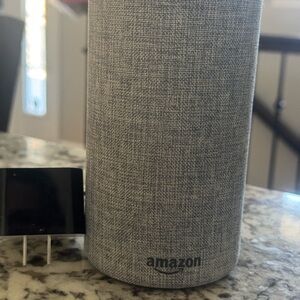 Amazon Echo Smart Speaker in Light Gray 2nd gen
